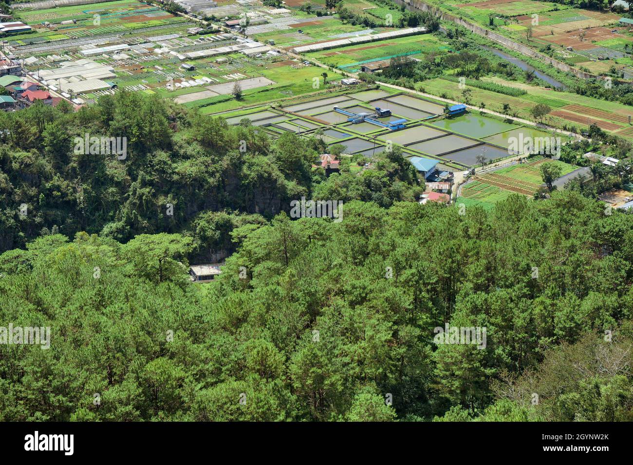 Künstlich anbauter Fischteich, umgeben von Pinien und landwirtschaftlichen Betrieben. Foto aufgenommen in Benguet, Philippinen am 16. Februar 2017. Stockfoto