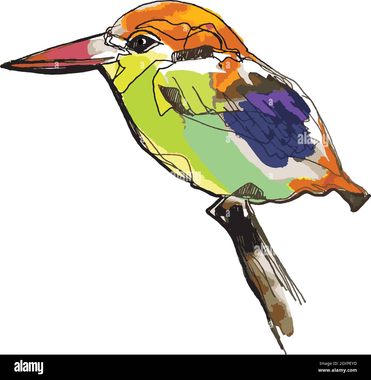 kingfisher Vogeljäger digitale handgezeichnete Illustration Vektor-Stil Stock Vektor