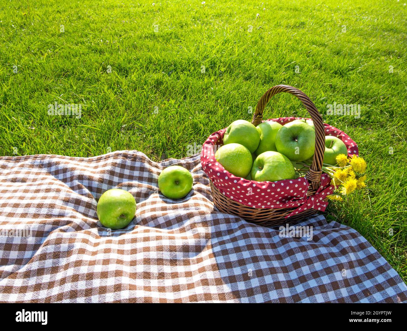 Picknickdecke mit Äpfeln auf Gras Stockfoto