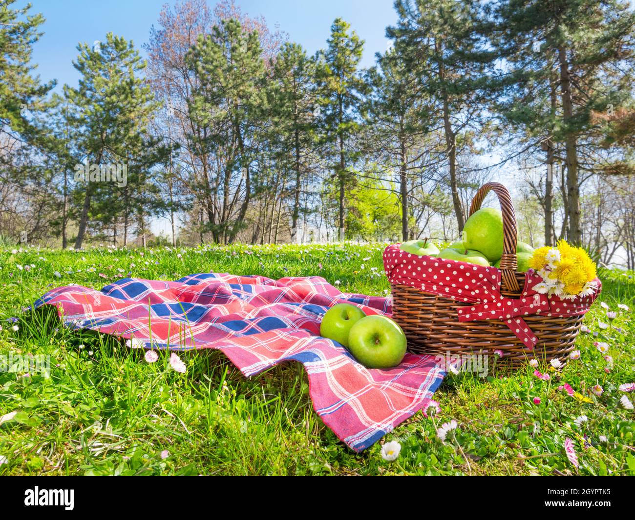 Picknickkorb und Decke im Park im Frühling Stockfotografie - Alamy