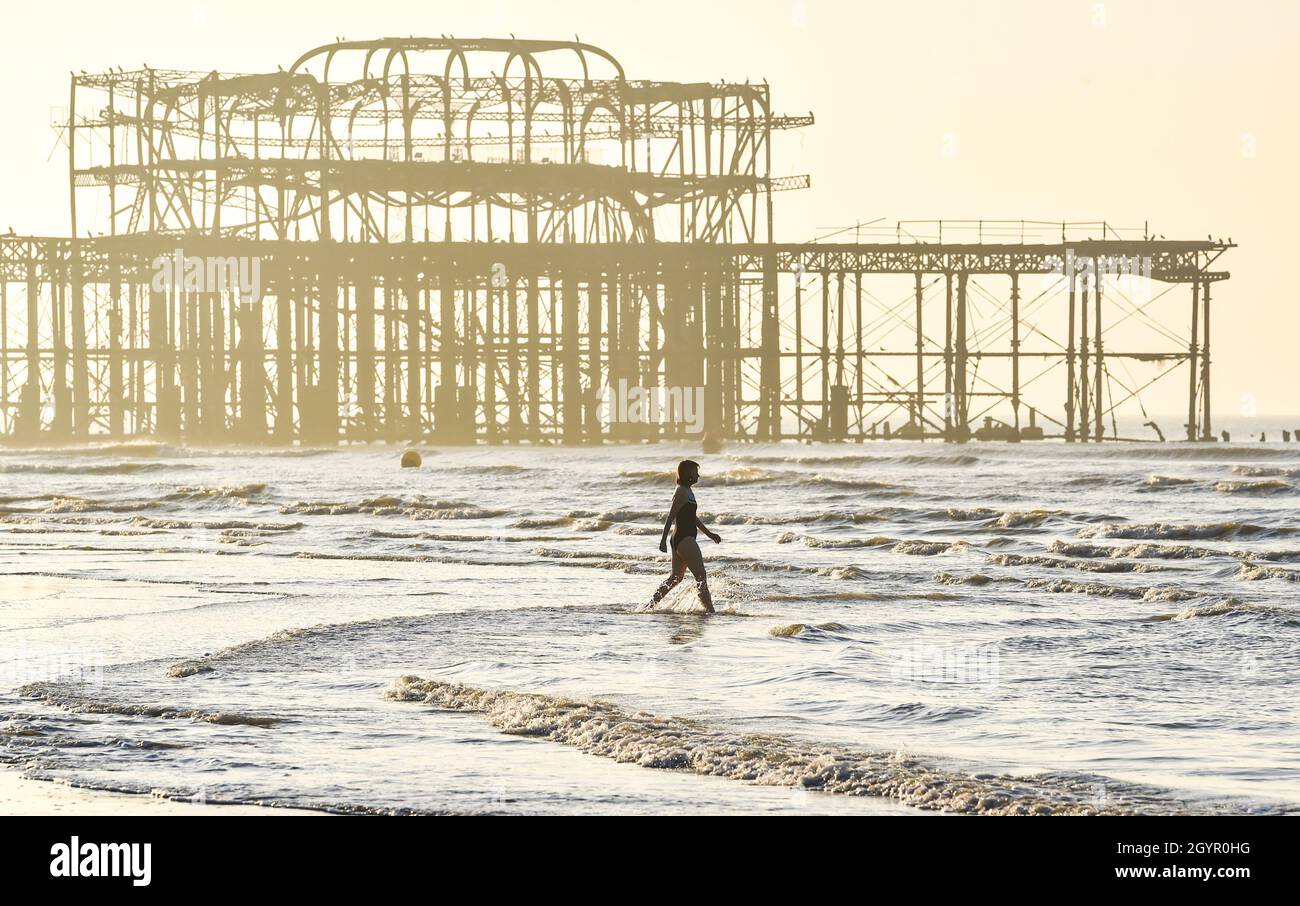 Brighton UK 9. Oktober 2021 - Ein Schwimmer geht an einem schönen sonnigen Morgen bei Ebbe am West Pier zum Meer, da heute für Teile Großbritanniens warmes, sonniges Wetter prognostiziert wird : Credit Simon Dack / Alamy Live News Stockfoto