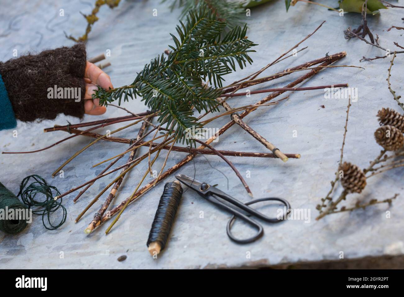 Adventsstern, Advents-Stern, Stern aus Ästen, Ästchen, Zweigen, EFEU, Hagebutten, eibe, Kiefer und anderen Naturmaterialien, Bastelei, Weihnachtsstern Stockfoto