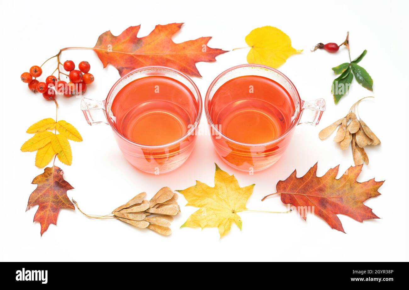Zwei Glaskrüge mit heißen Getränken, eingerahmt von hellen Herbstblättern und Beeren isoliert auf Weiß. Gemütliches Stillleben im Herbst. Stockfoto