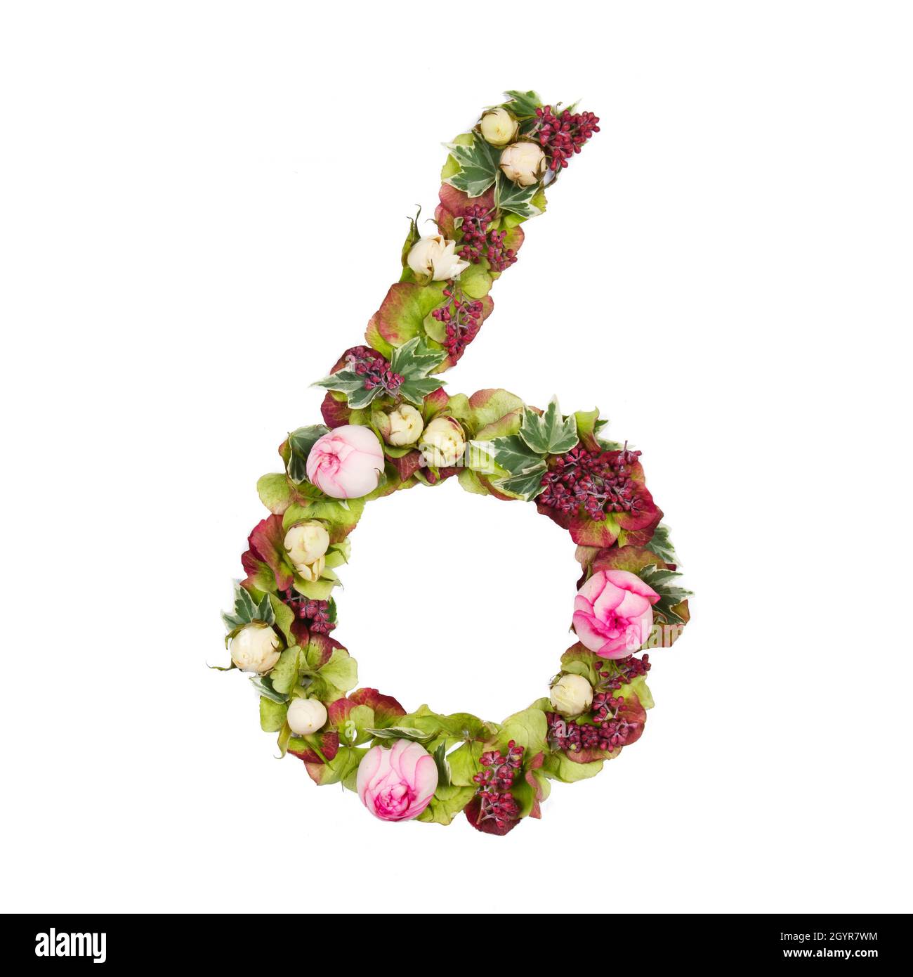 Der sechste Teil eines Satzes von Buchstaben, Zahlen und Symbolen des Alphabets, hergestellt aus Blumen, Zweigen und Blättern auf weißem Hintergrund Stockfoto