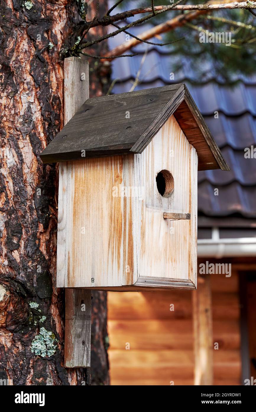 Rauh handgemachtes Vogelhaus auf dem Baum im Garten. Tiermotiven Hintergründe Stockfoto