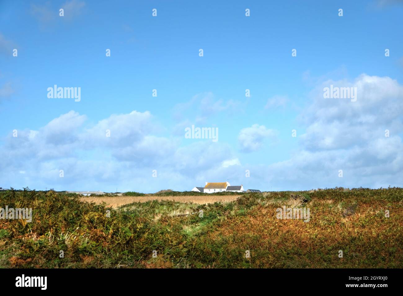 Carn-Nwchyn in der Nähe von St. David's, an einem Sommertag mit blauem Himmel gesehen. Blick vom Pembrokeshire Coastal Path oberhalb der Caerfai Bay, Wales, Großbritannien Stockfoto