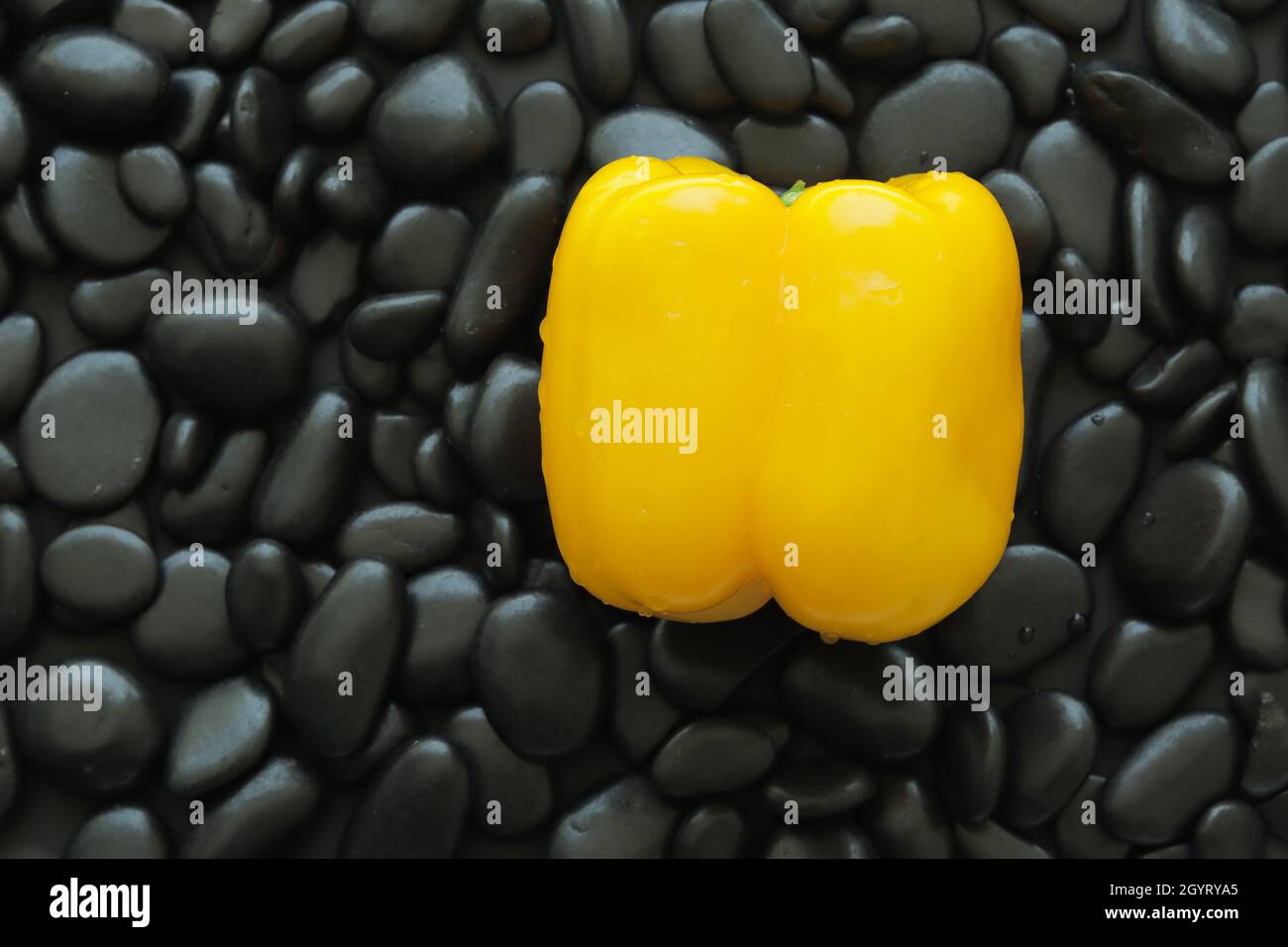 Draufsicht eine gelbe Paprika auf blackstone mit glatter, glänzender Haut und rundem Rand. Schwarzer Stein Hintergrund machen roten Paprika aussehen herausragendes. Stockfoto