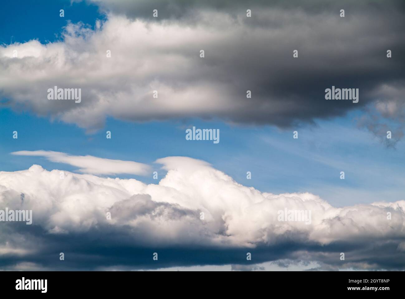 Cumulus Wolken am blauen Himmel. Kein Landblick. Stockfoto