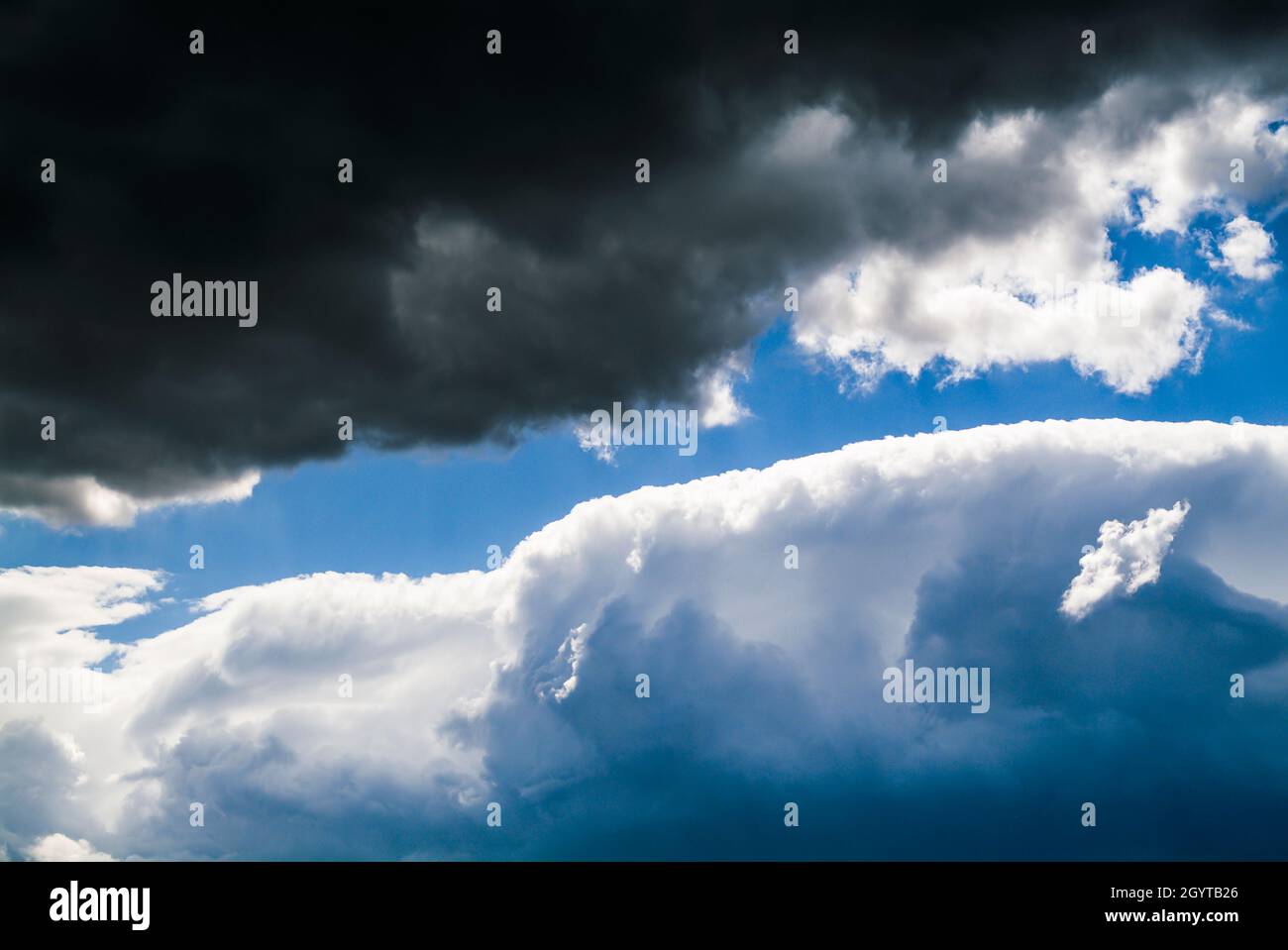 Cumulus Wolken am blauen Himmel. Kein Landblick. Stockfoto