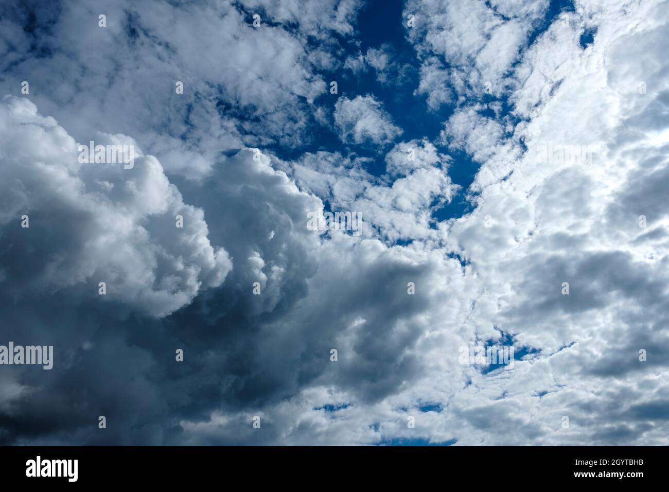 Cumulus Wolken am blauen Himmel. Kein Landblick. Stockfoto