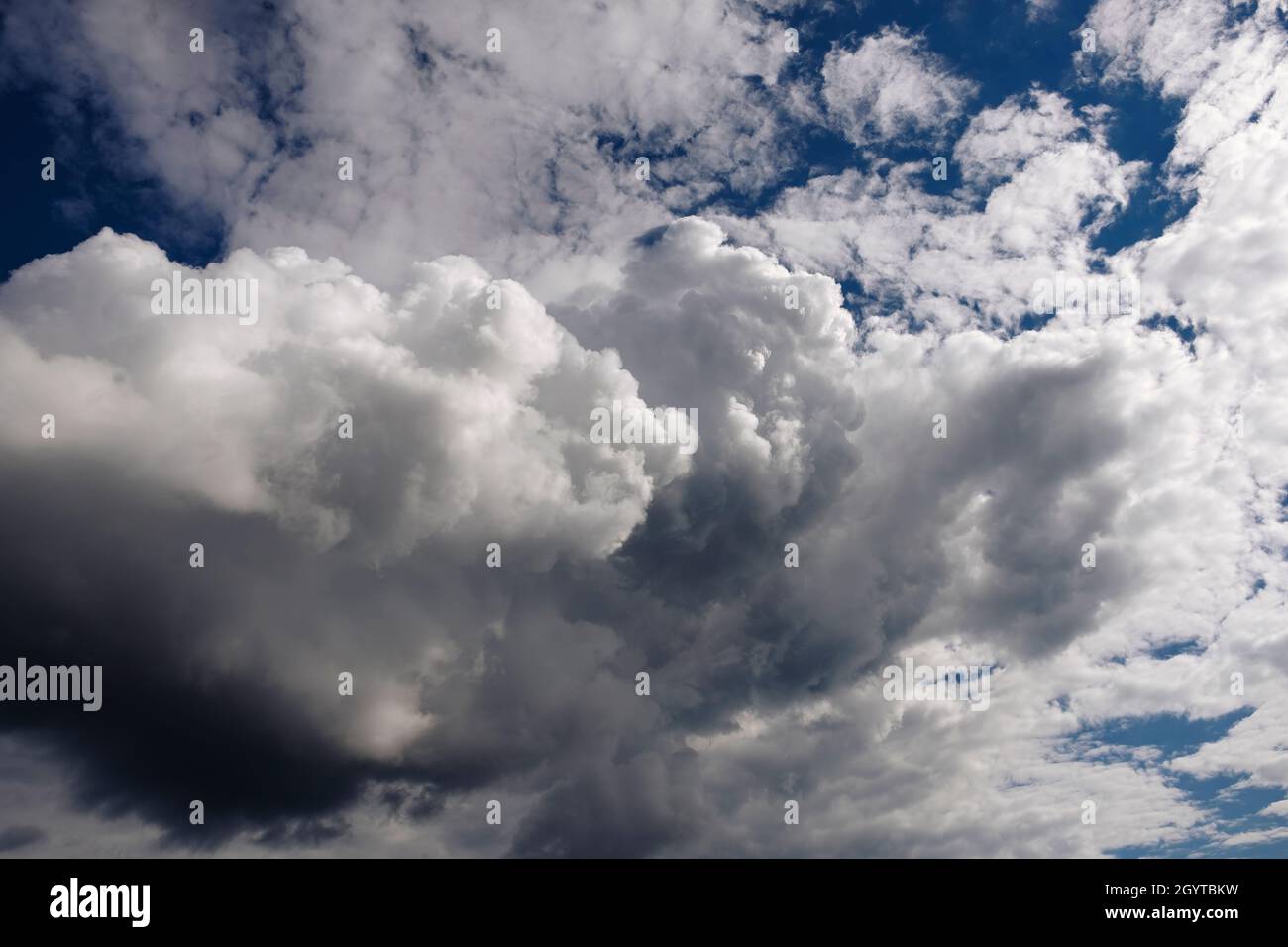 Cumulus Wolken am blauen Himmel. Kein Landblick. Stockfoto