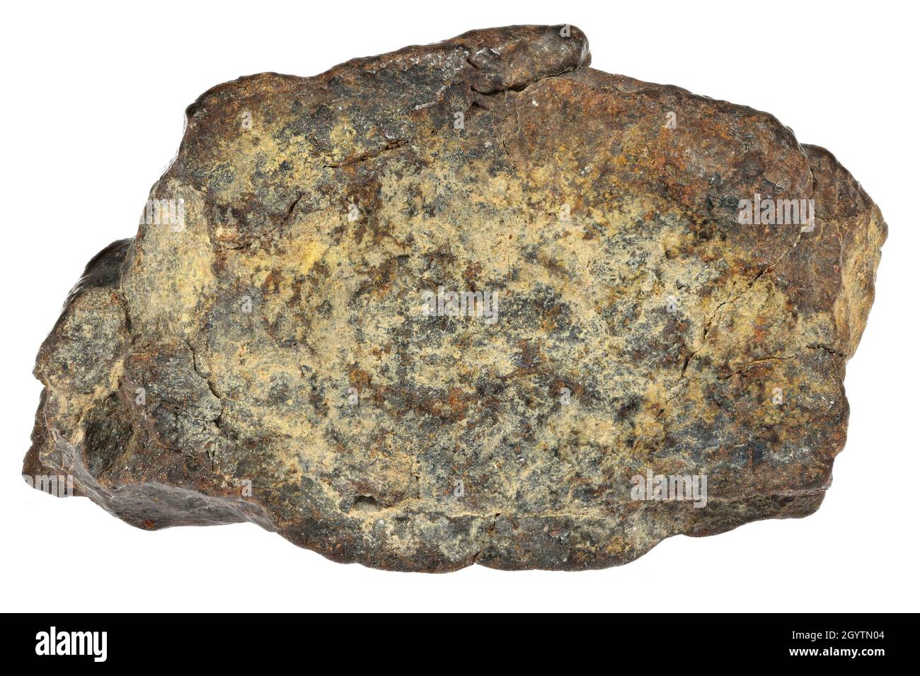 Fragment des NWA 869 Meteoriten isoliert auf weißem Hintergrund Stockfoto