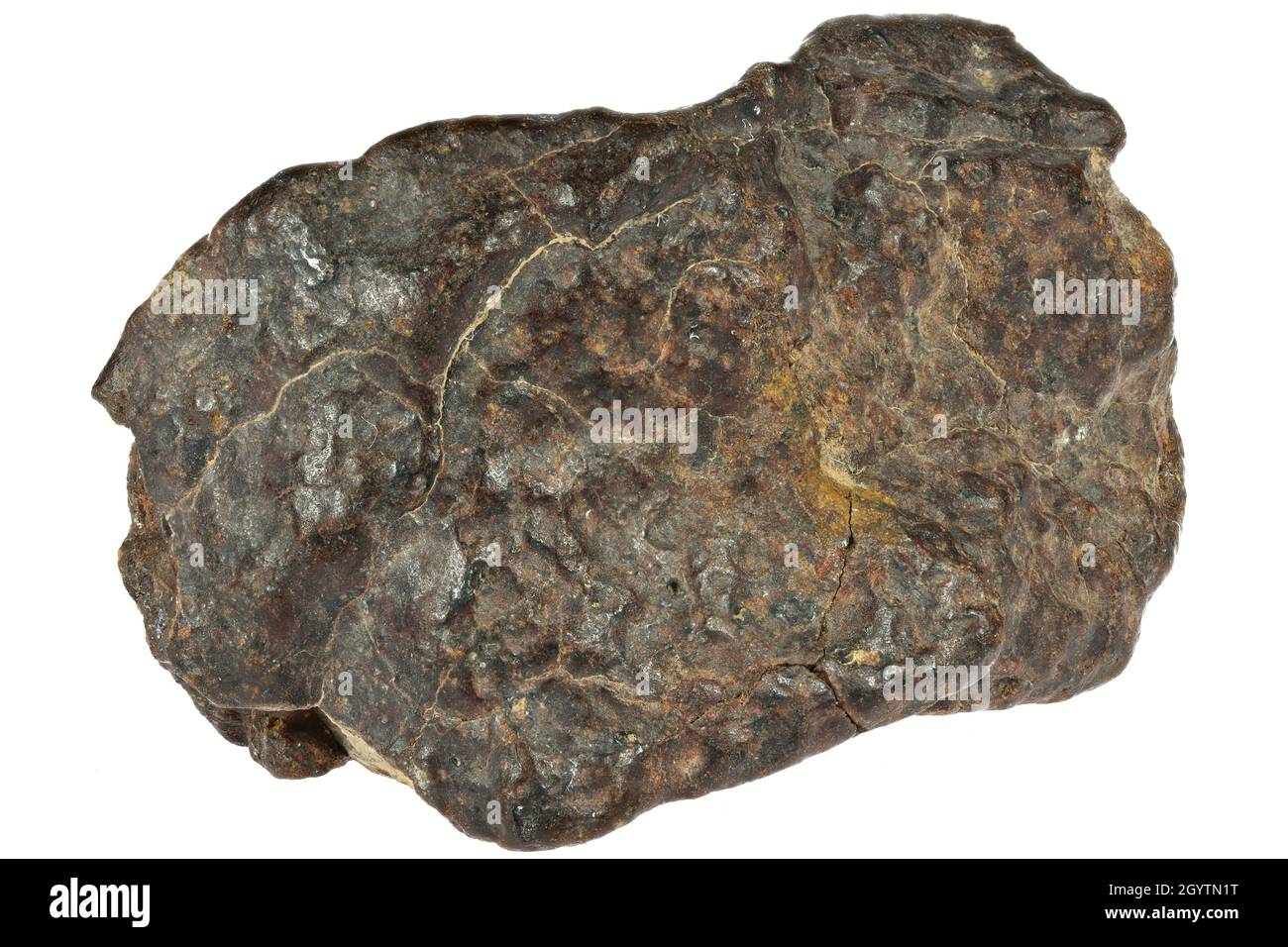 Fragment des NWA 869 Meteoriten isoliert auf weißem Hintergrund Stockfoto