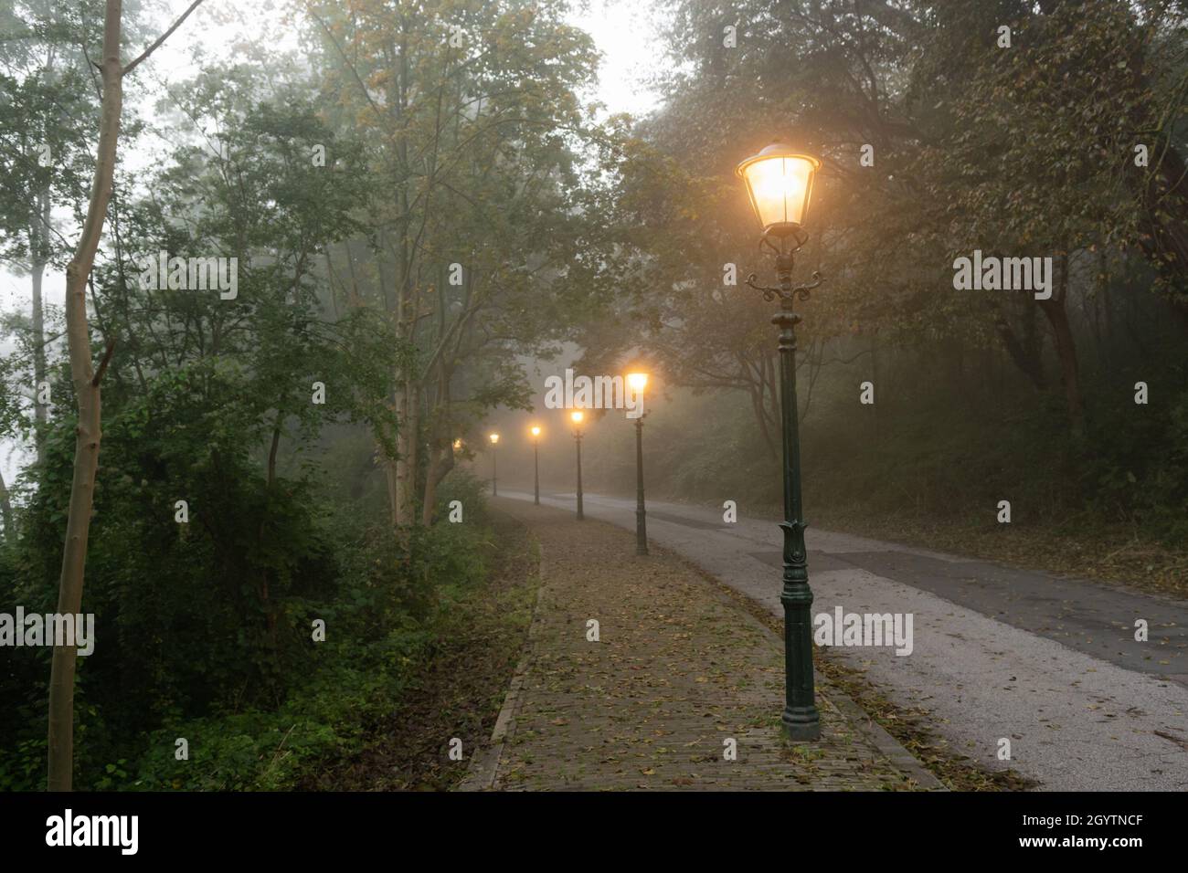 Straße mit klassischen Straßenlampen in einer nebligen Umgebung Stockfoto