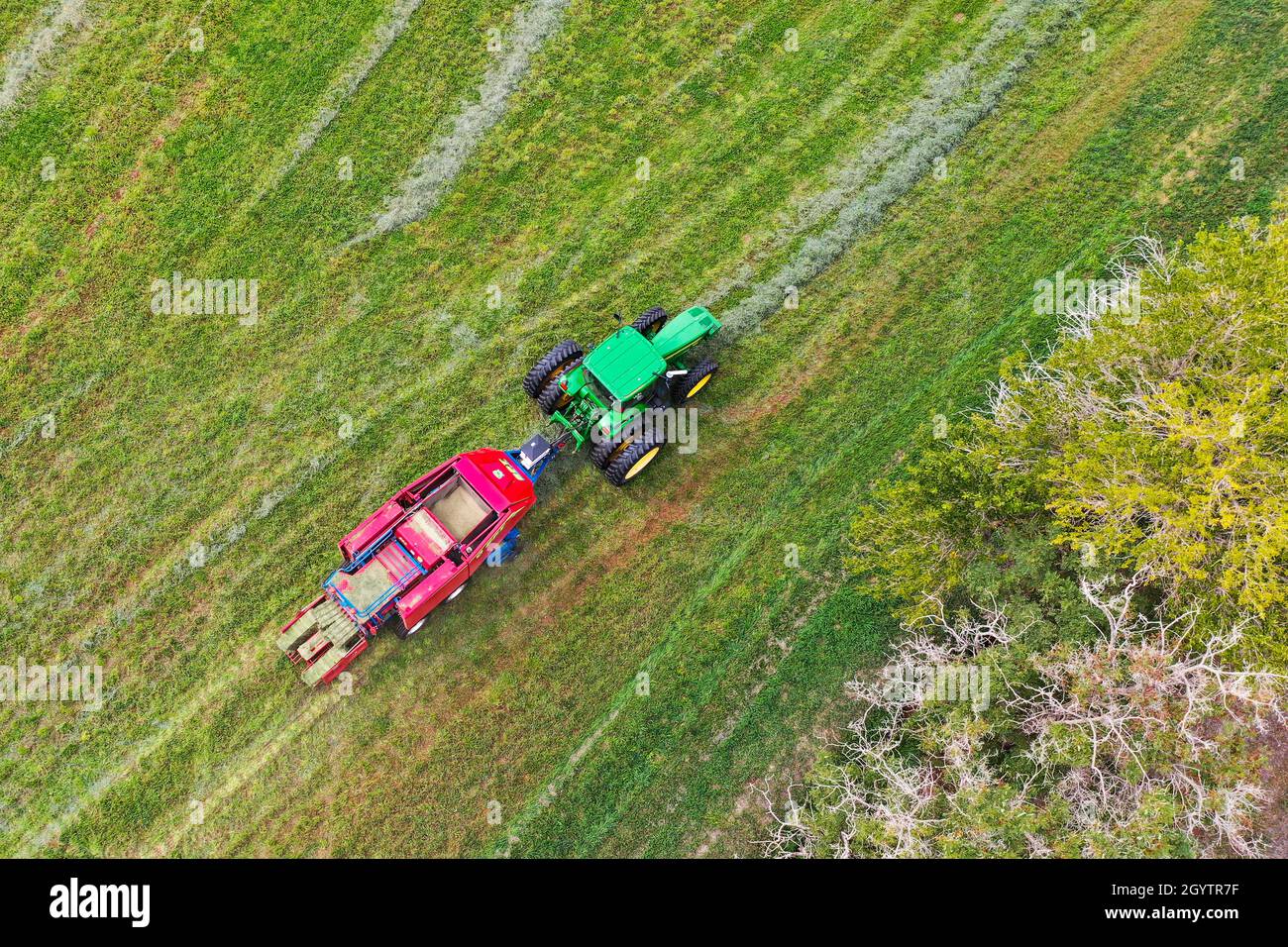 Eine Drohnenansicht eines Ranchers, der einen Traktor fährt und Heu auf einer Ranch im Canyon-Land von Utah ballt. Stockfoto