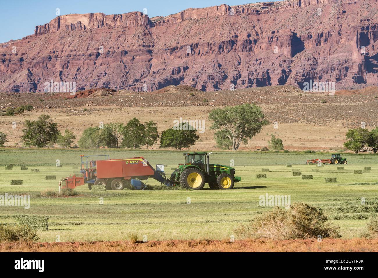 Eine GPT Twin Pak Heupresse und ein Kuhn Twin Rotor Rake, der Heu auf einer Ranch in Utah hagelt und ballt. Stockfoto