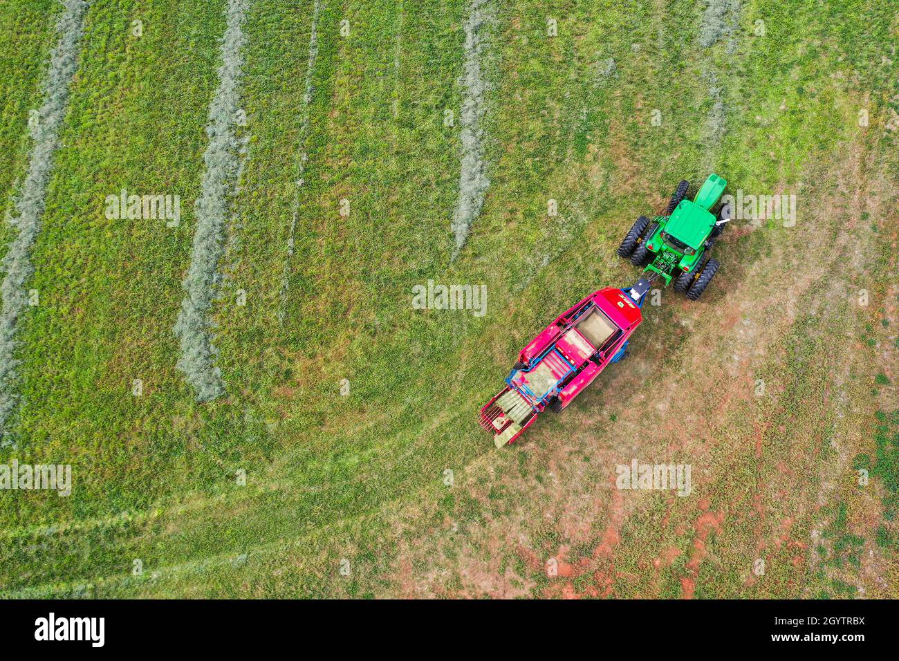 Eine Drohnenansicht eines Ranchers, der einen Traktor fährt und Heu auf einer Ranch im Canyon-Land von Utah ballt. Stockfoto