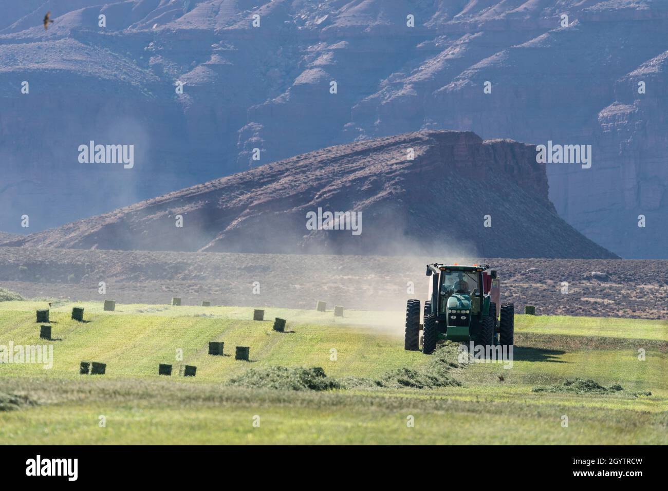 Heuballenpressen mit einem John Deere Traktor 7930 und einer GPT Twin Pak Ballenpresse auf einer Ranch im Süden von Utah. Stockfoto