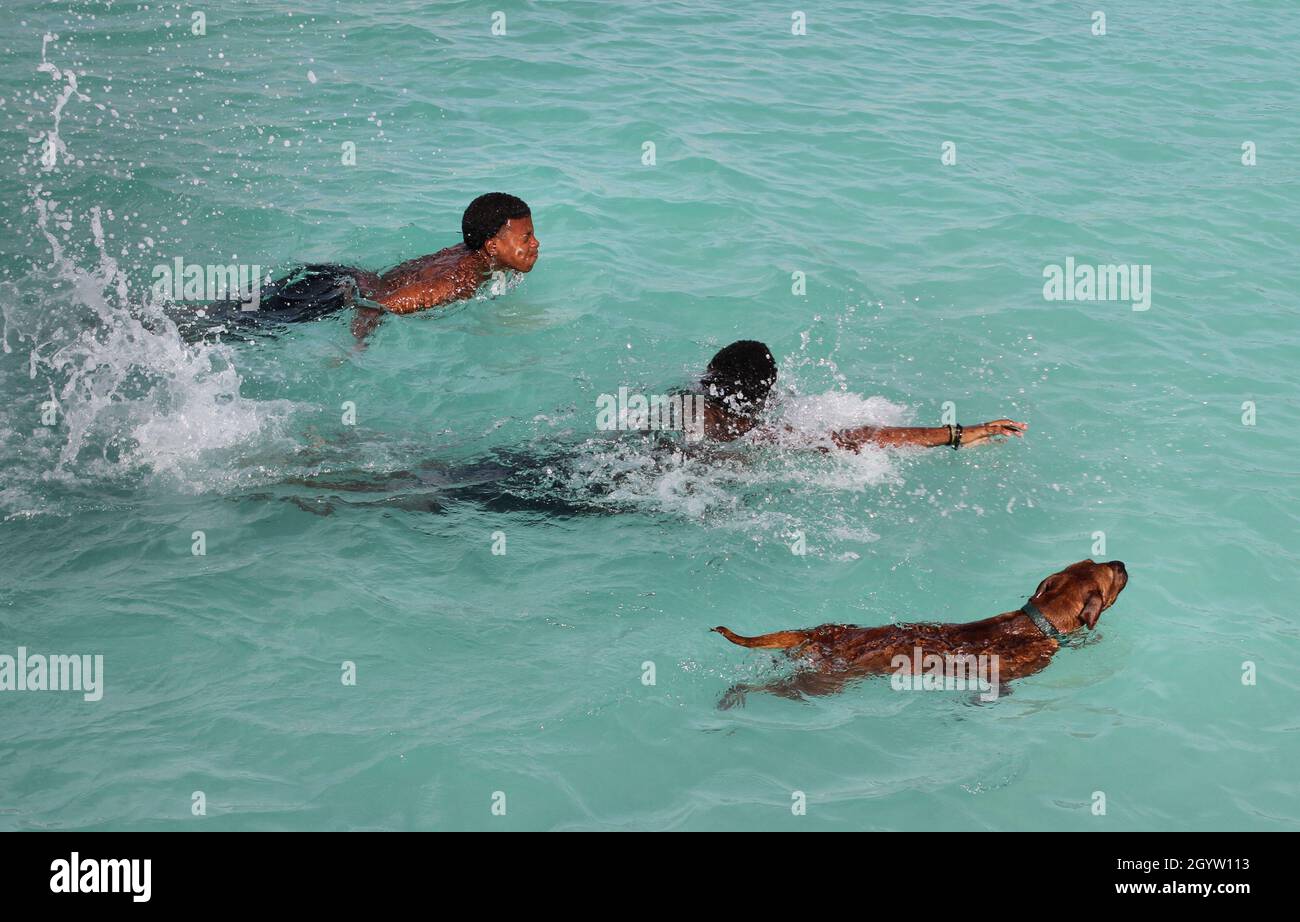 Junge schwarze Jungen schwimmen mit ihrem Hund am Strand Stockfoto