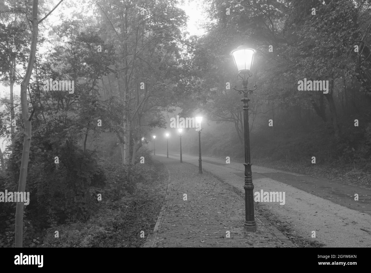 Straße mit klassischen Straßenlampen im Nebel Stockfoto