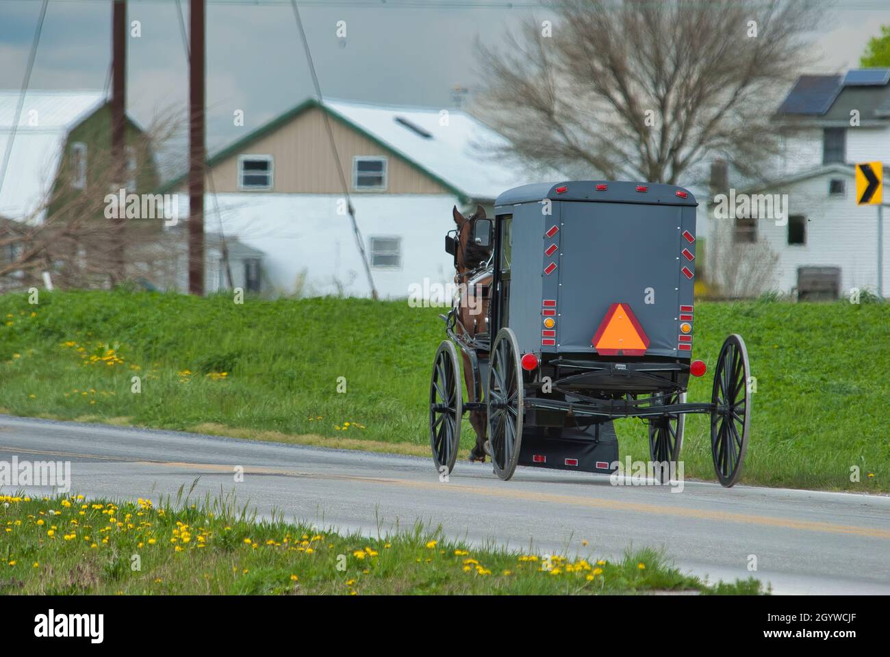 Ein Amish Horse und Buggy Reisen entlang einer Landstraße durch Ackerland an einem Frühlingstag Stockfoto