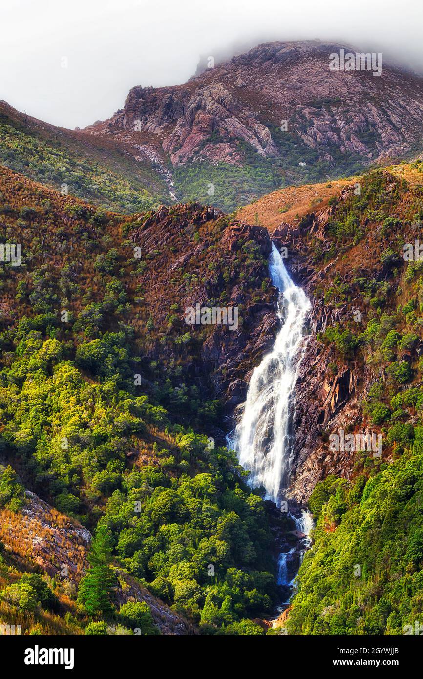 Die steile Kaskade der Horsetail fällt in den tasmanischen Bergen in der Nähe von Queenstown vor dem Lyell Highway nach heftigem Regen unter Wolken. Stockfoto