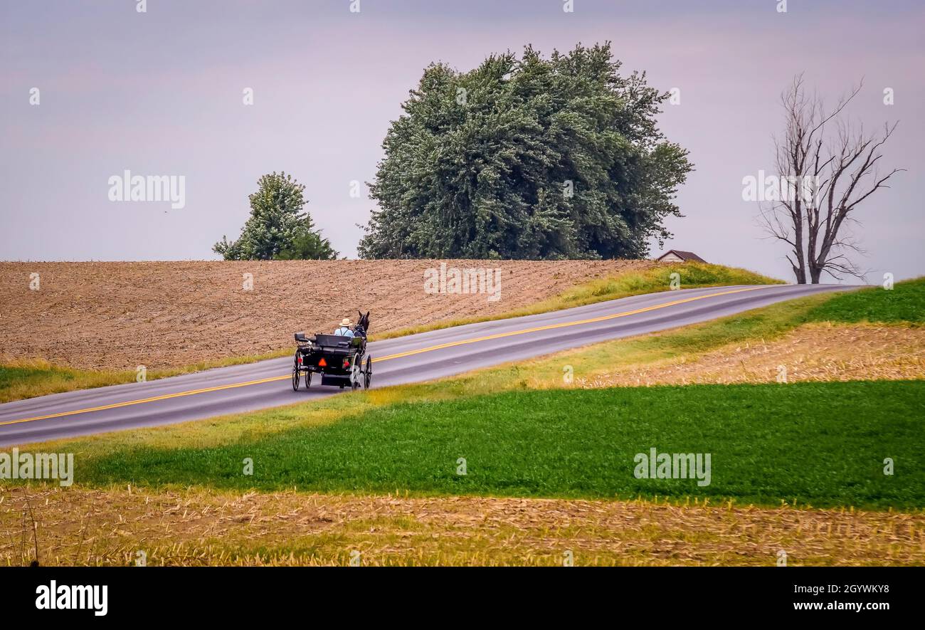 Ein Amish-Mann, der in einem offenen Pferd und Buggy Thru-Ackerland auf einem Hügel reist Stockfoto