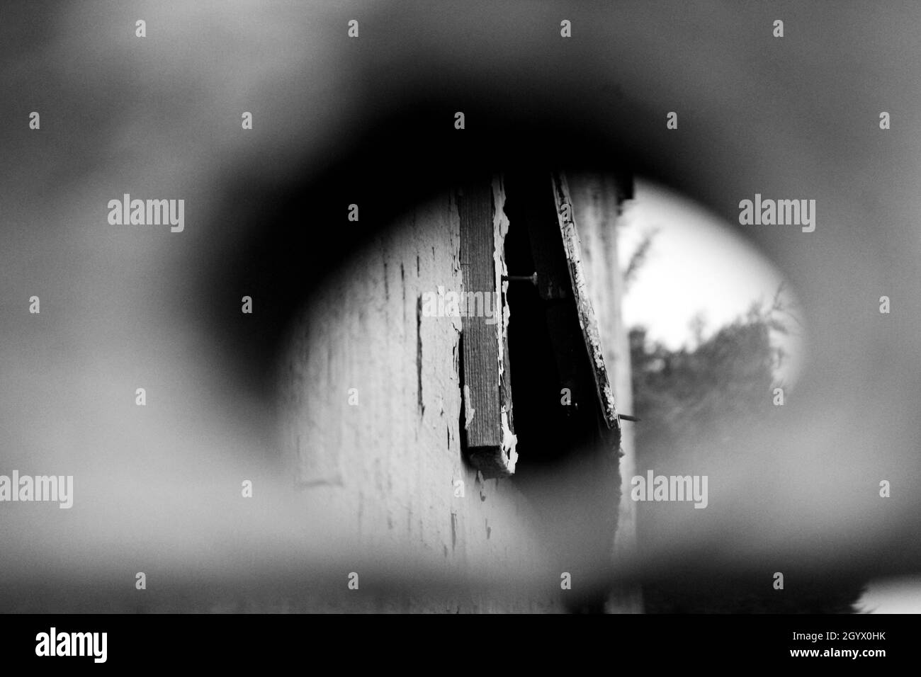 Schwarze und weiße Holz Stockfoto