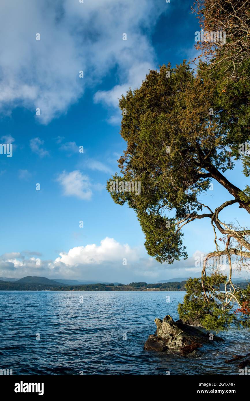 Das Meer ist an einem sonnigen Tag im Norden von Saanich, Vancouver Island, Kanada, von viel Grün umgeben Stockfoto