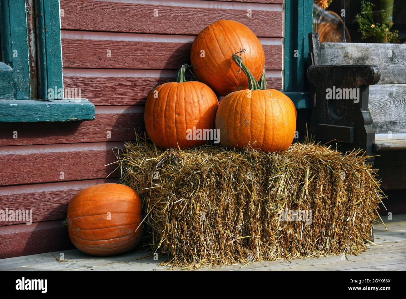 Herbstthema mit Kürbissen auf einem Heuballen in rustikalem Landhausstil Stockfoto