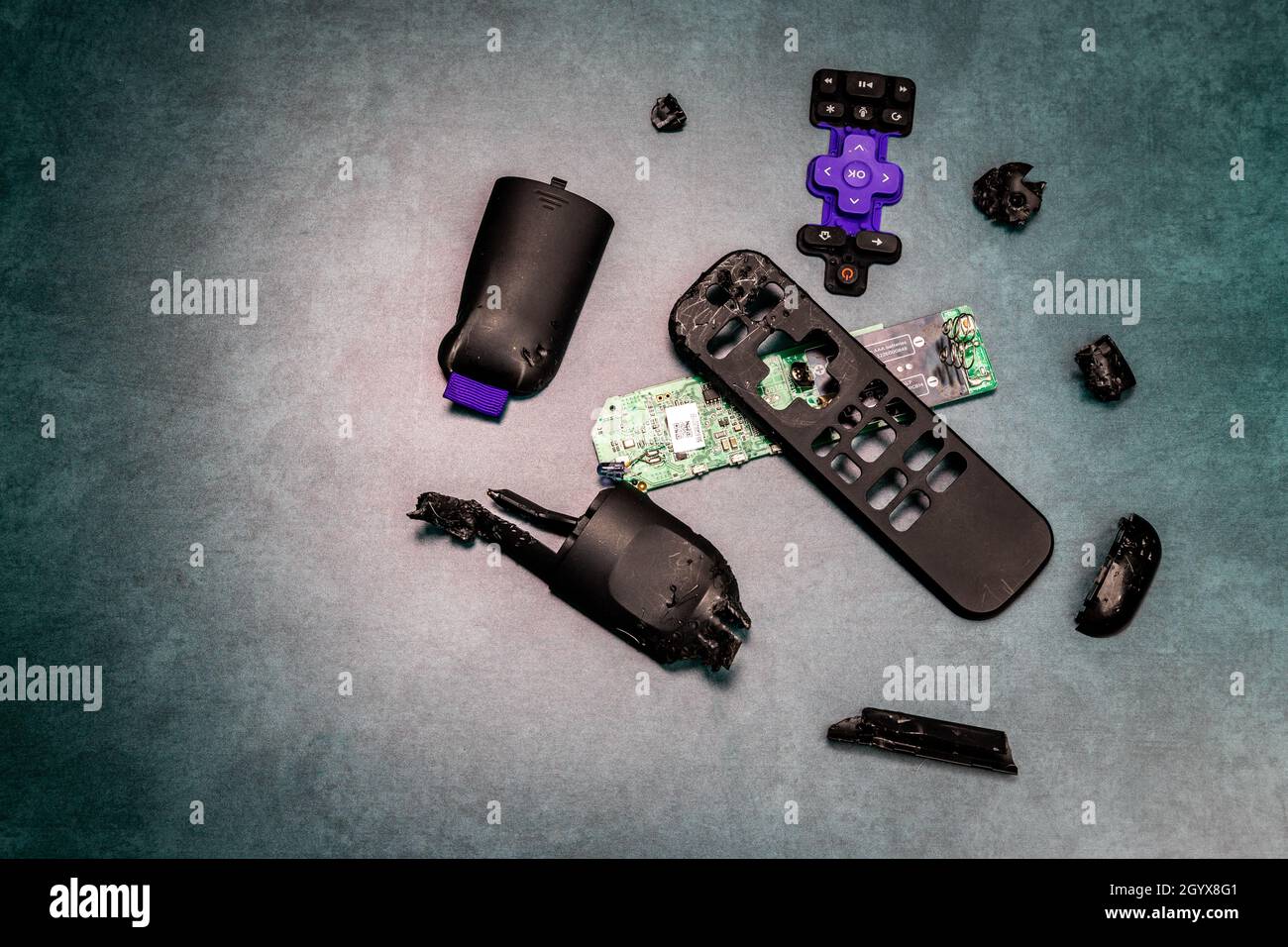 The Dogs Chewed My TV Fernbedienung Stockfoto