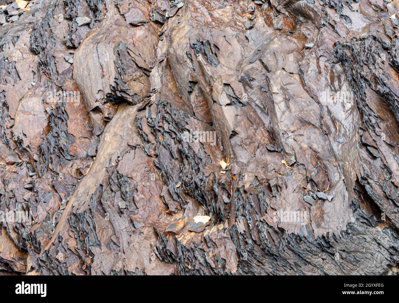 Schiefer Felsen Hintergrund und Textur gefärbt Stockfoto