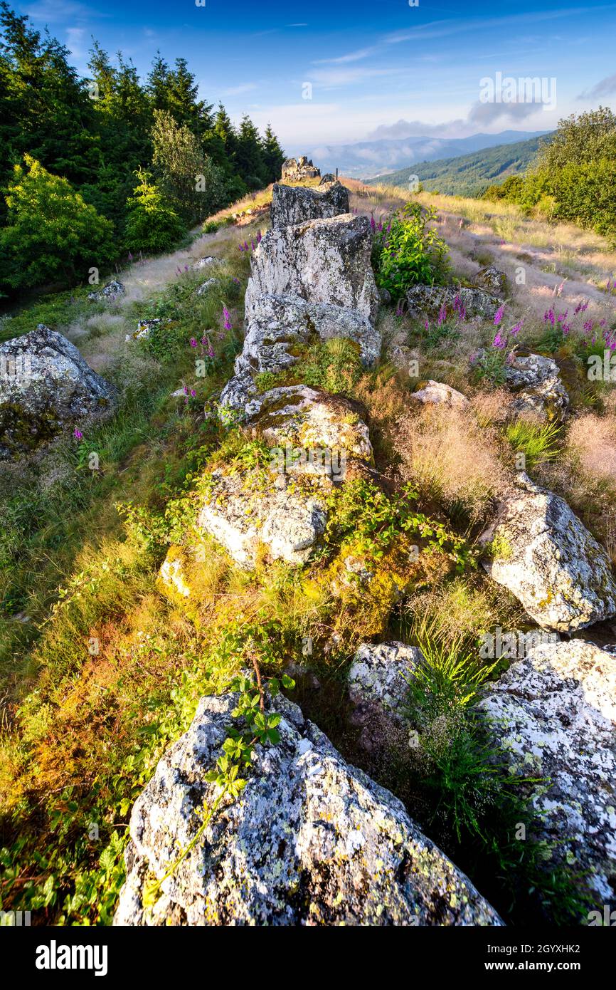 Granitrücken von Chiroubles bei Beaujolais in Frankreich Stockfoto