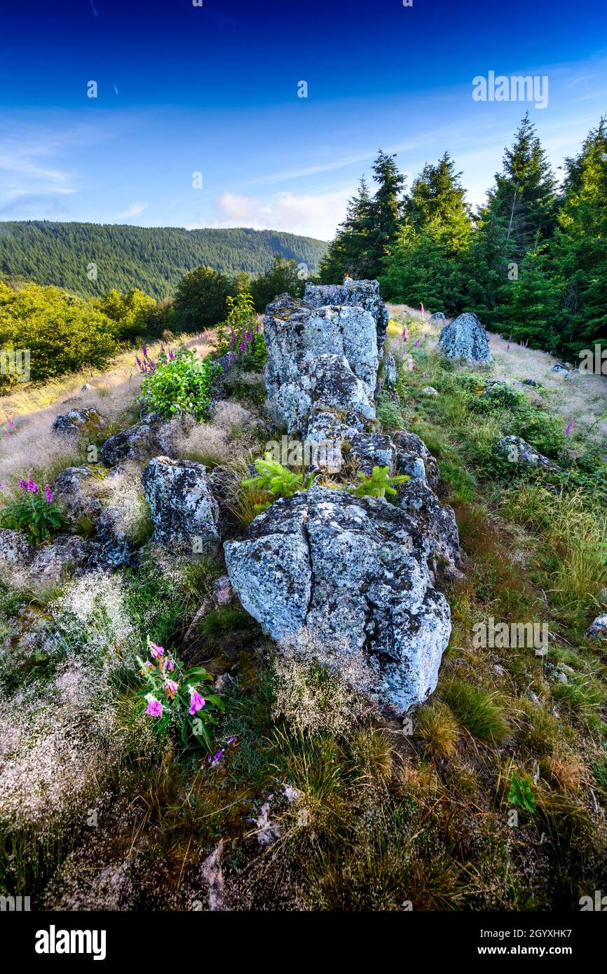 Granitrücken von Chiroubles bei Beaujolais in Frankreich Stockfoto