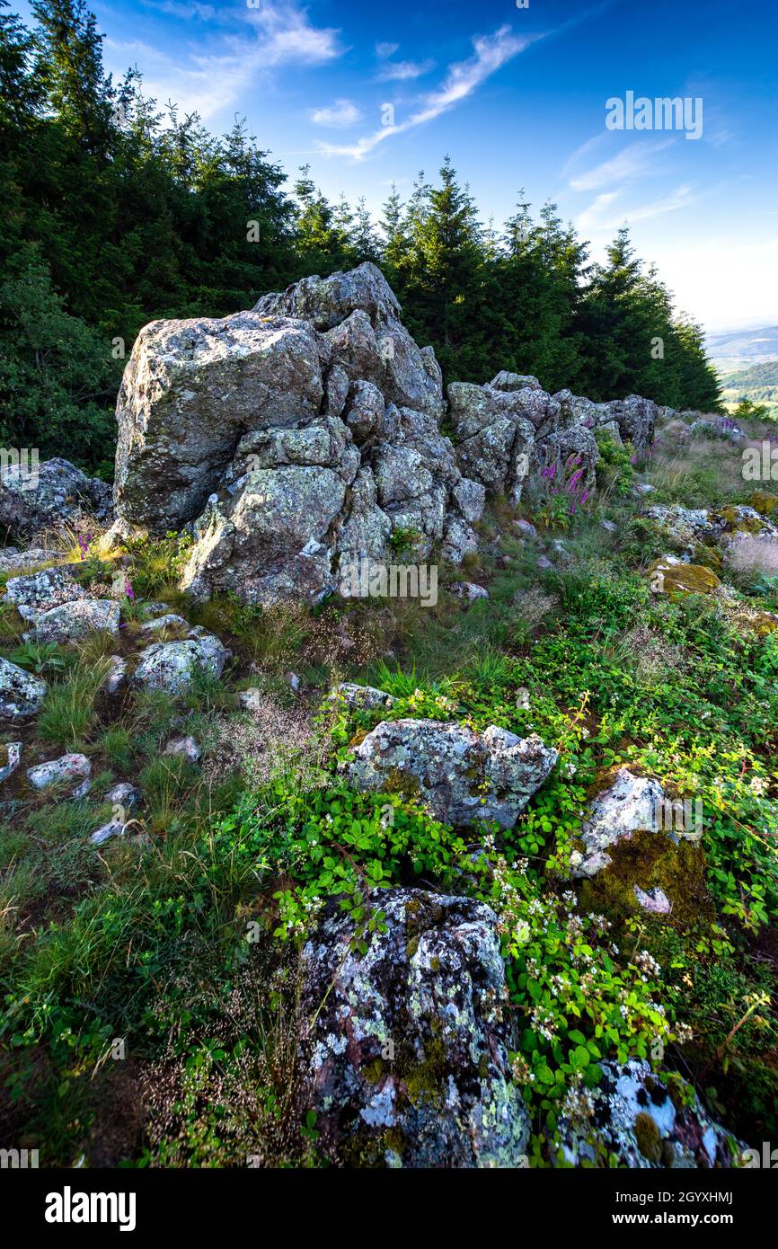 Granitrücken von Chiroubles bei Beaujolais in Frankreich Stockfoto