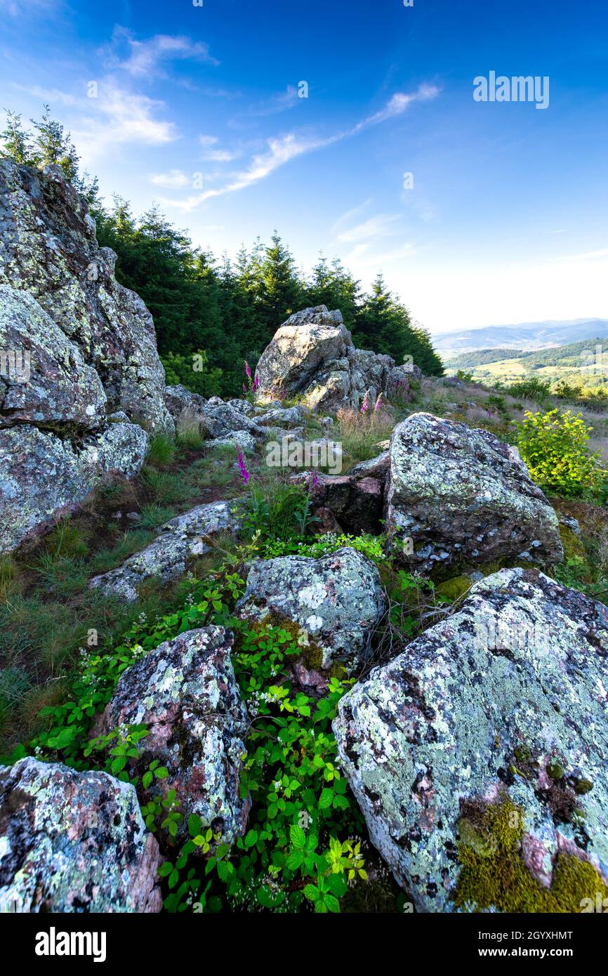 Granitrücken von Chiroubles bei Beaujolais in Frankreich Stockfoto