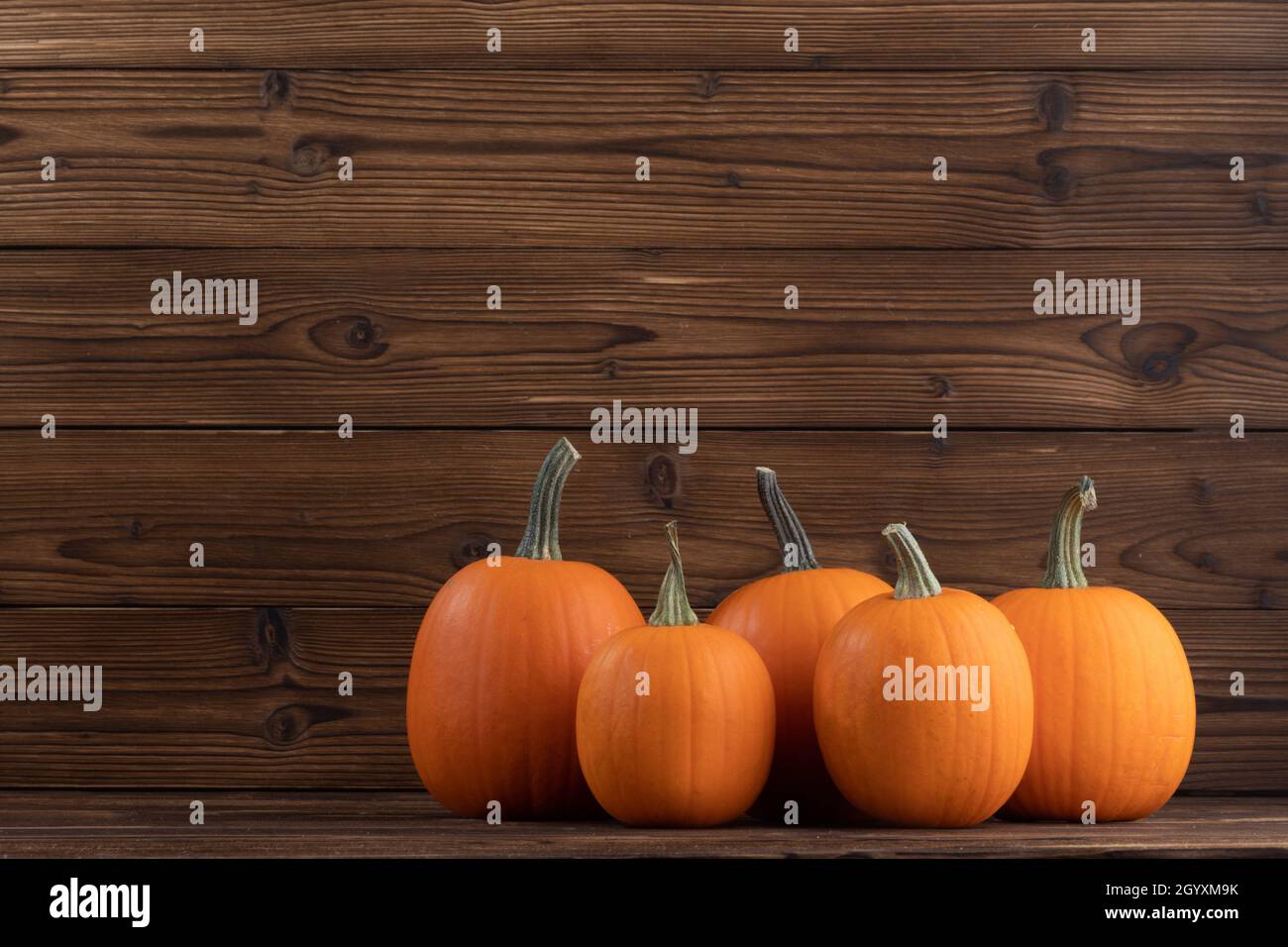 Ganze Kürbisse auf dunklem Holzhintergrund mit Platz für Text, halloween oder Danksagekarte Stockfoto