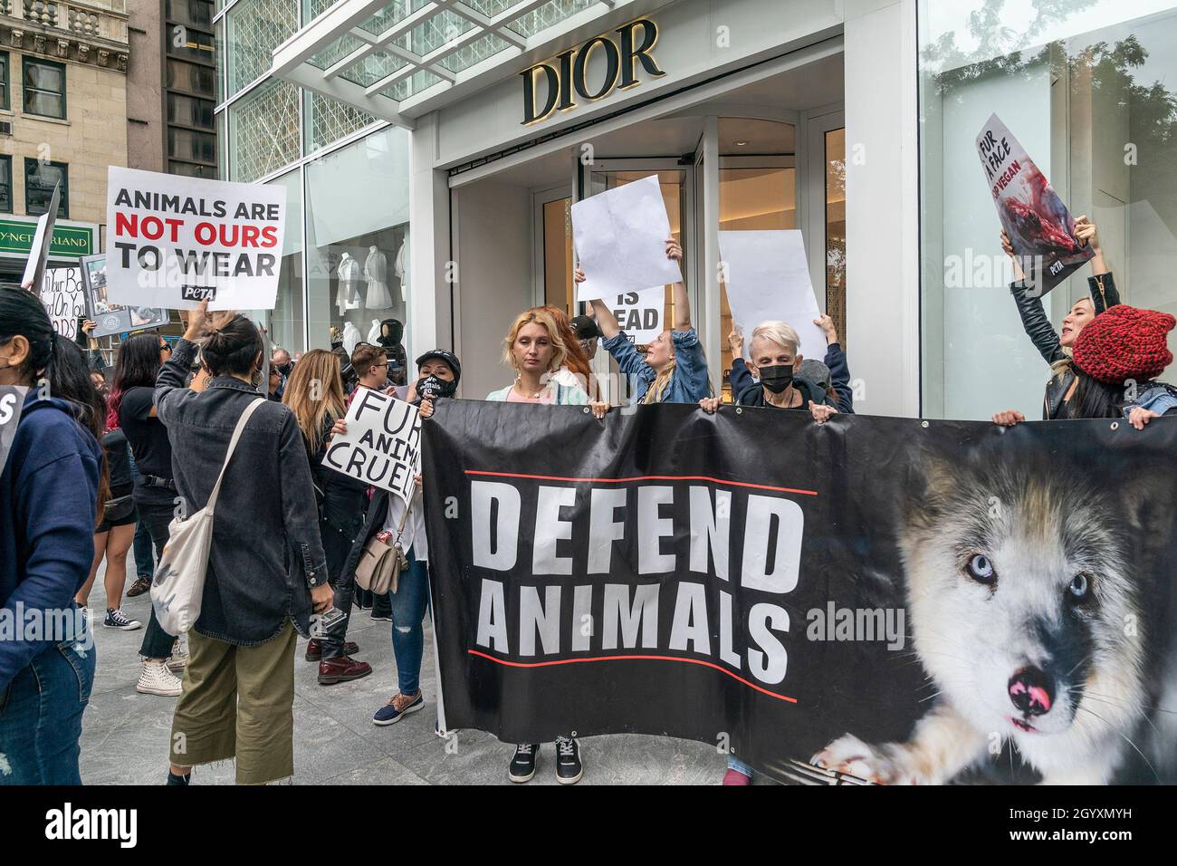 Anti-Pelz-Marsch NYC, organisiert von der Koalition zur Abschaffung des  Pelzhandels: Fürsorgliche Aktivisten gegen Pelz in Midtown Manhattan.  Hundert Tierrechtsaktivisten versammelten sich auf dem Grand Army Plaza zur  Kundgebung und marschierten durch ...