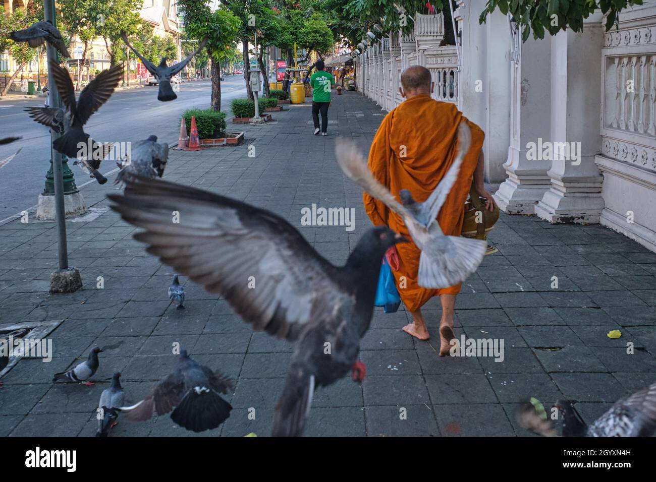 Ein barfuß thailändischer buddhistischer Mönch geht an einer erschrockenen Taubenschar vor dem Wat (Tempel) Ratchaburana (Wat Liab) in Bangkok, Thailand, vorbei Stockfoto