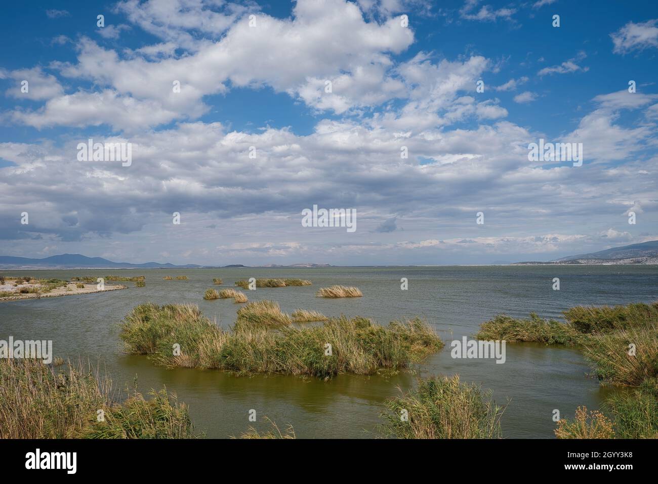 Der schöne See Carla oder Karla , geschütztes Feuchtgebiet, Ökologie, Volos, Griechenland Stockfoto