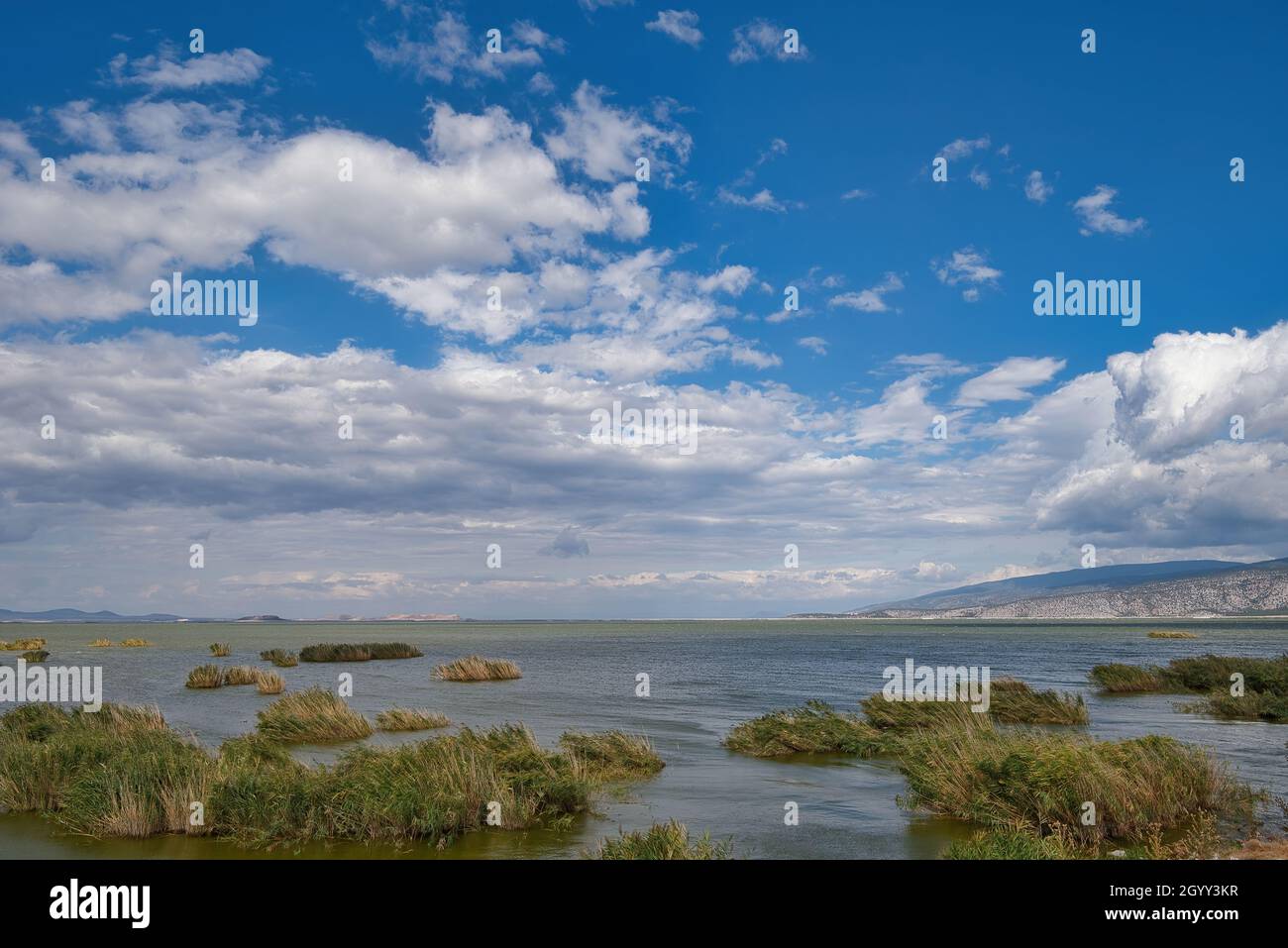 Der schöne See Carla oder Karla , geschütztes Feuchtgebiet, Ökologie, Volos, Griechenland Stockfoto