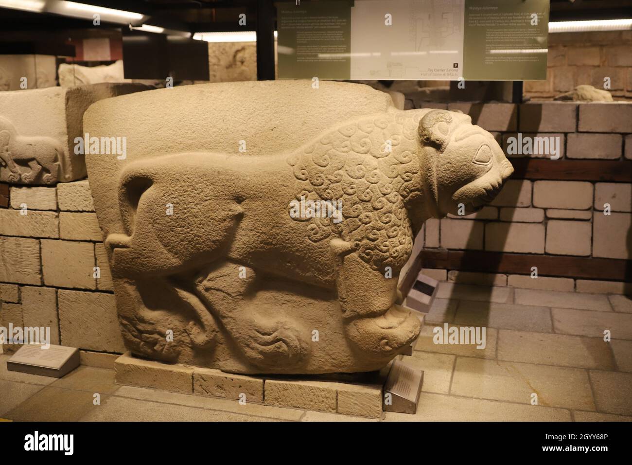 Löwenskulptur im Museum anatolischer Zivilisationen, Ankara-Stadt, Türkei Stockfoto