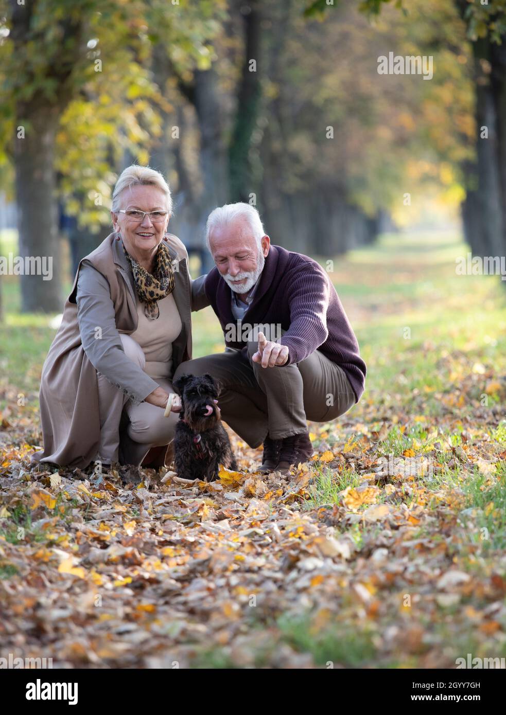 Seniorenpaar mit niedlichem Hund, der im Herbst im Wald hockt und Blätter auf dem Boden hat Stockfoto