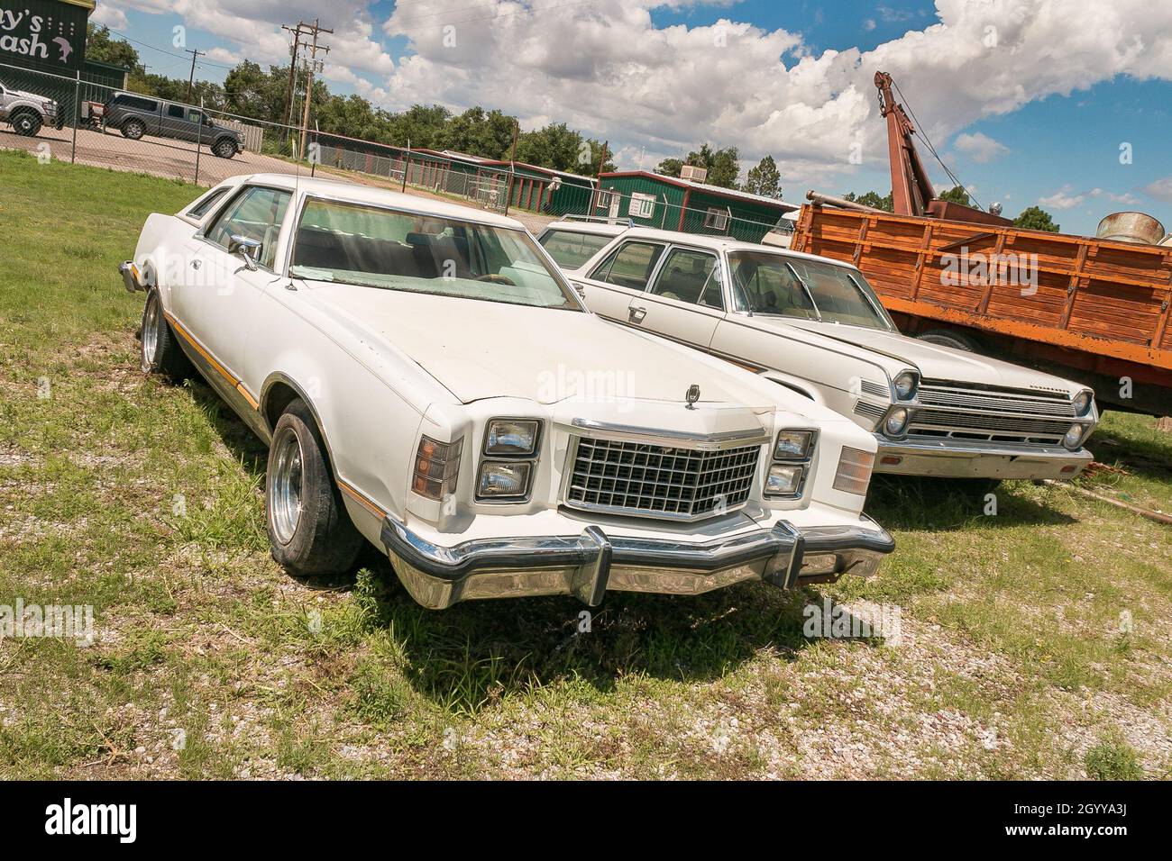 Zwei amerikanische Oldtimer parkten auf Gras vor einem alten hölzernen LKW, mit einem bewölkten Himmel über Ford LTD II Stockfoto