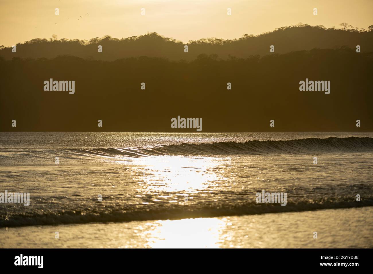 Große Wellen bei Sonnenuntergang in playa Venao, Panama, Mittelamerika Stockfoto
