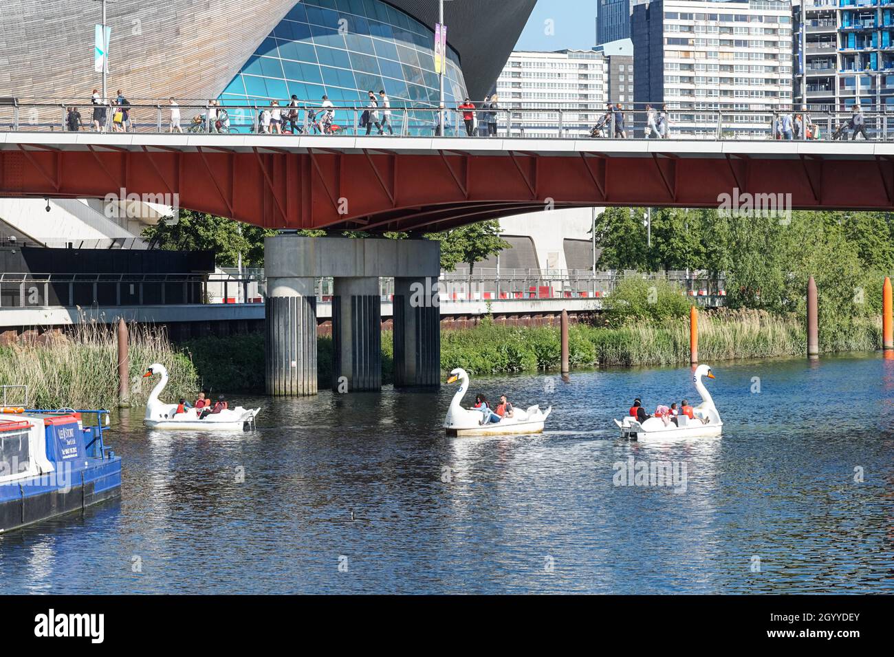 Die Menschen genießen einen sonnigen Tag in Schwanenpedalos auf dem Fluss Lea im Queen Elizabeth Olympic Park, London England Vereinigtes Königreich Großbritannien Stockfoto