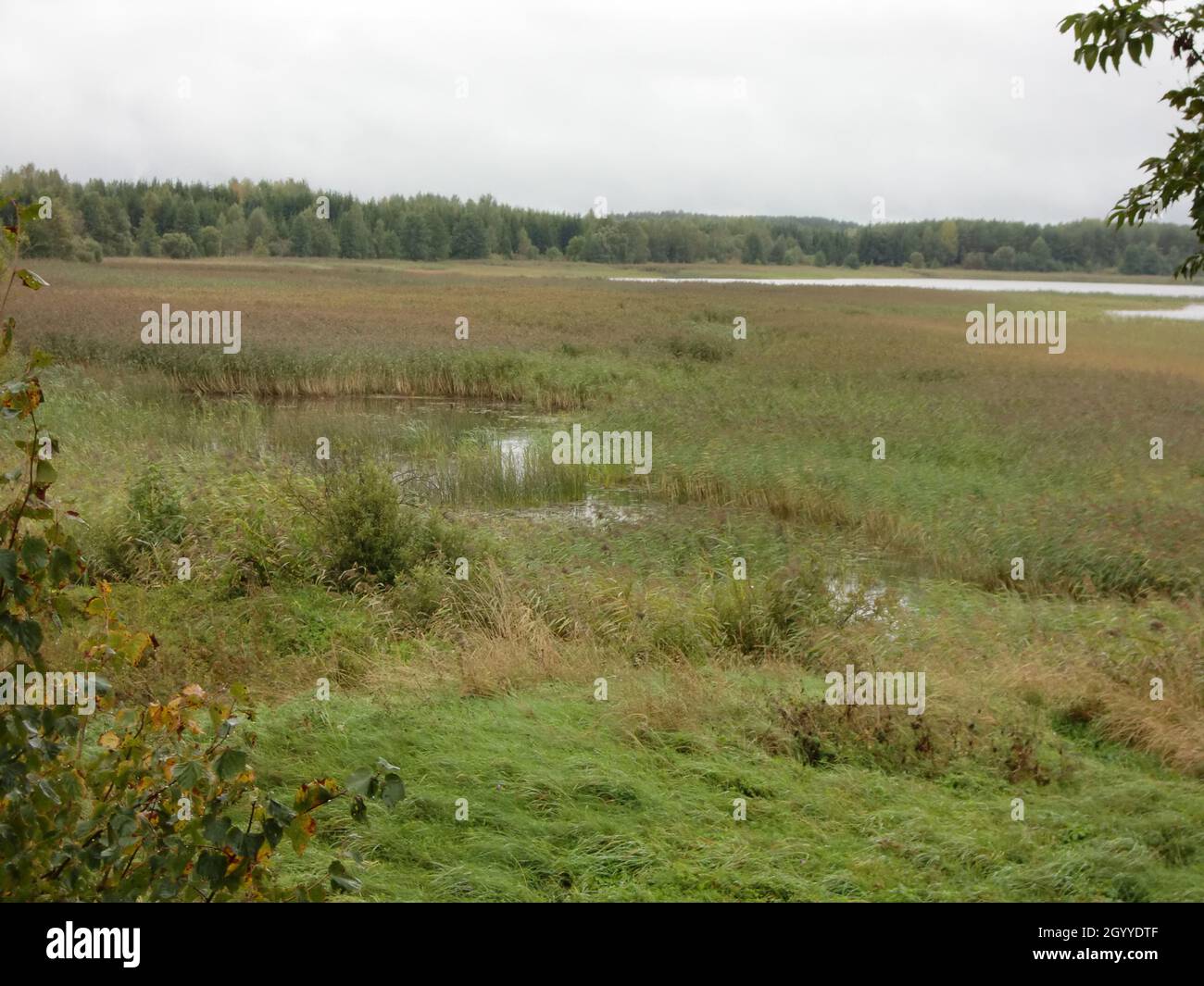 Myadzyel (Region Minsk, Republik Weißrussland) Stockfoto