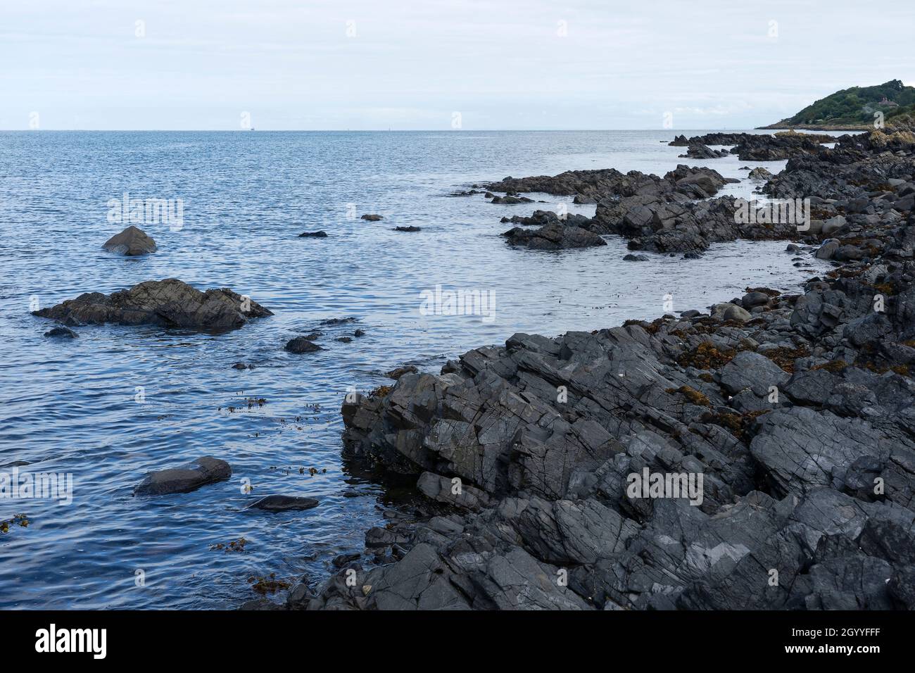 Die Küste in der Nähe von Helens Bay auf dem Bangor nach Holywood Costalpfad Nordirland Stockfoto