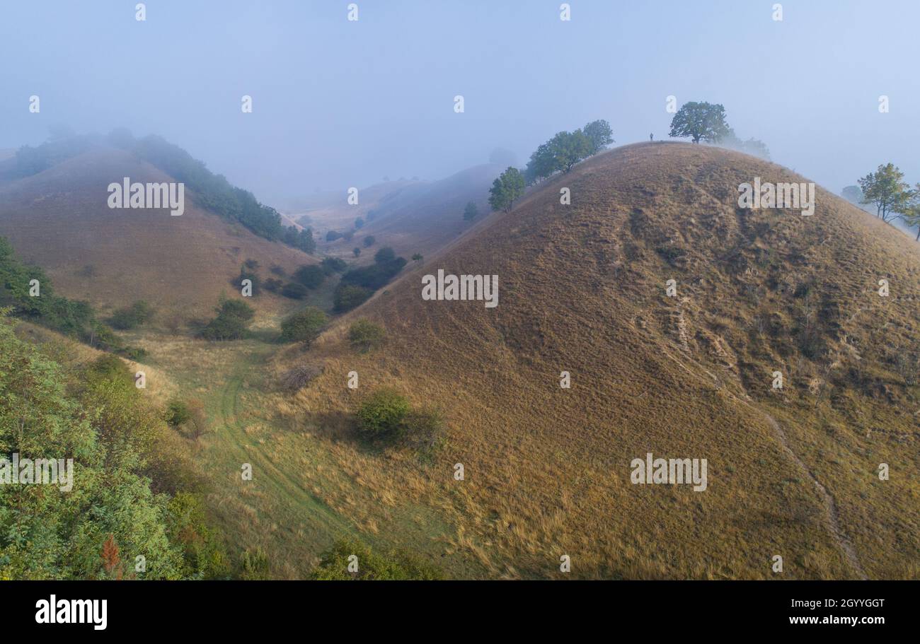 Luftbild der schönen Landschaft der zagajicka Hügel, Sanddünen mit Gras und Bäumen bedeckt am nebligen Morgen Stockfoto
