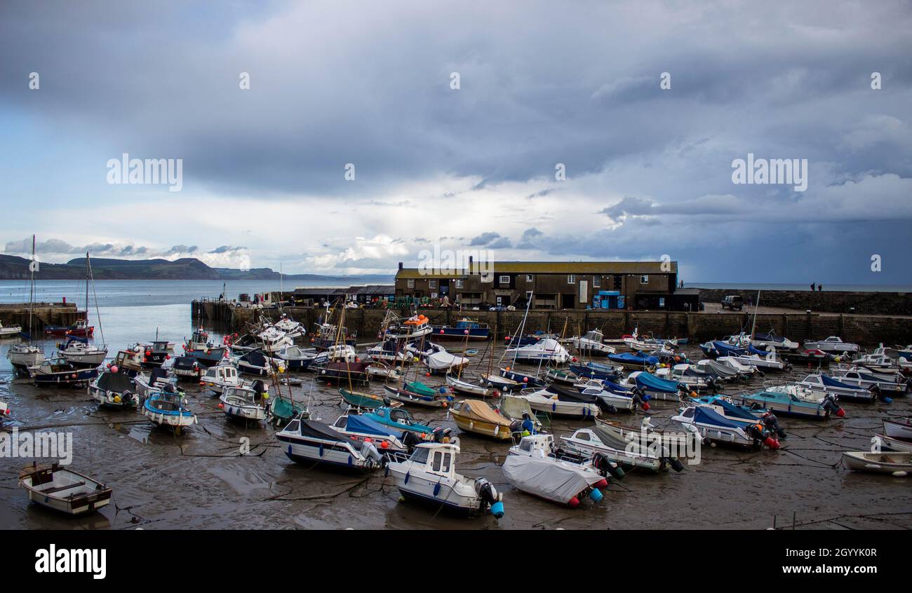 Bei Ebbe in der Lyme-Bucht werden die Boote von der alten Cobb umzingelt, die von Jane Austen und John Fowles (in der französischen Leutnant's Woman) berühmt wurde. Stockfoto